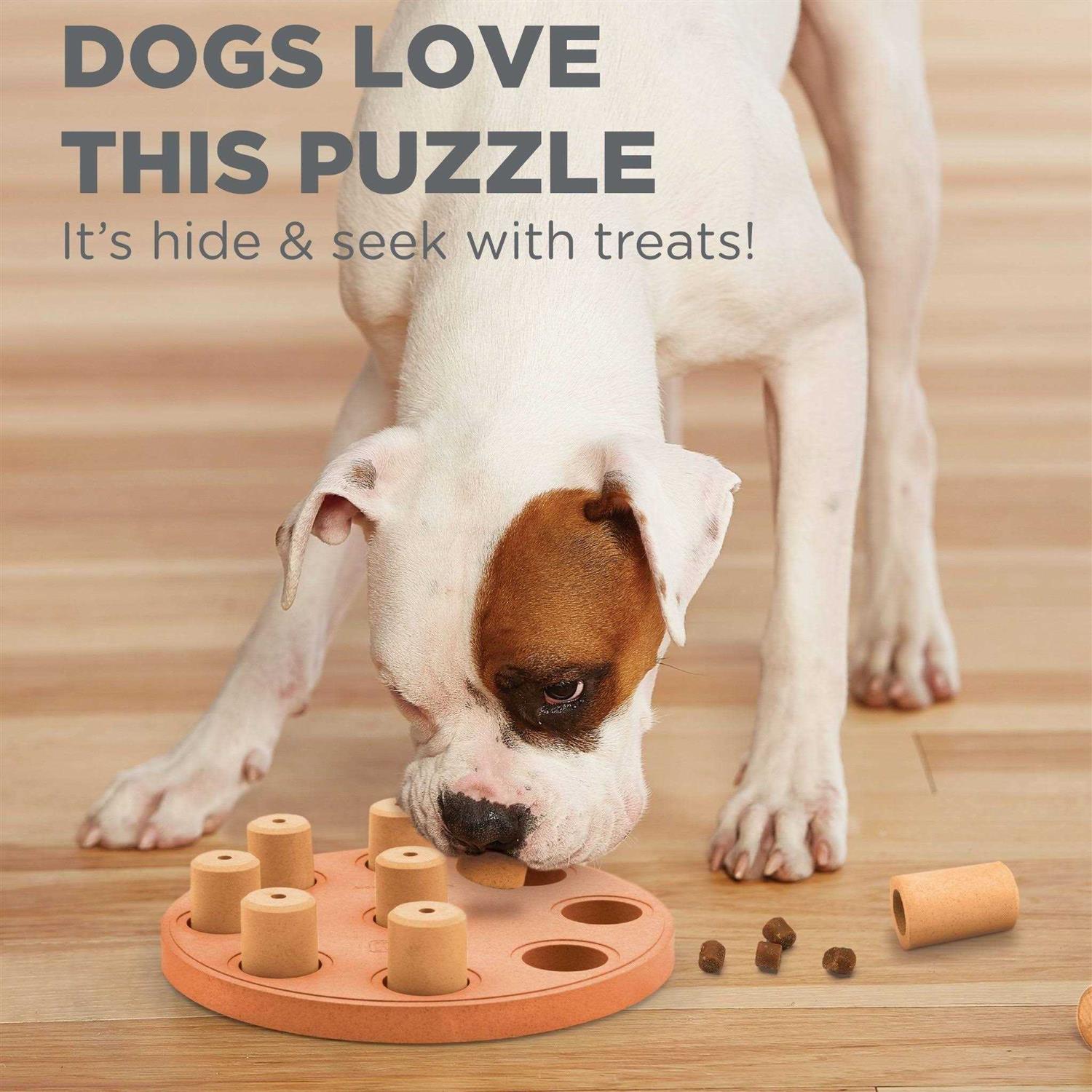 Outward Hound Nina Ottosson Dog Smart Composite Puzzle - Healthber