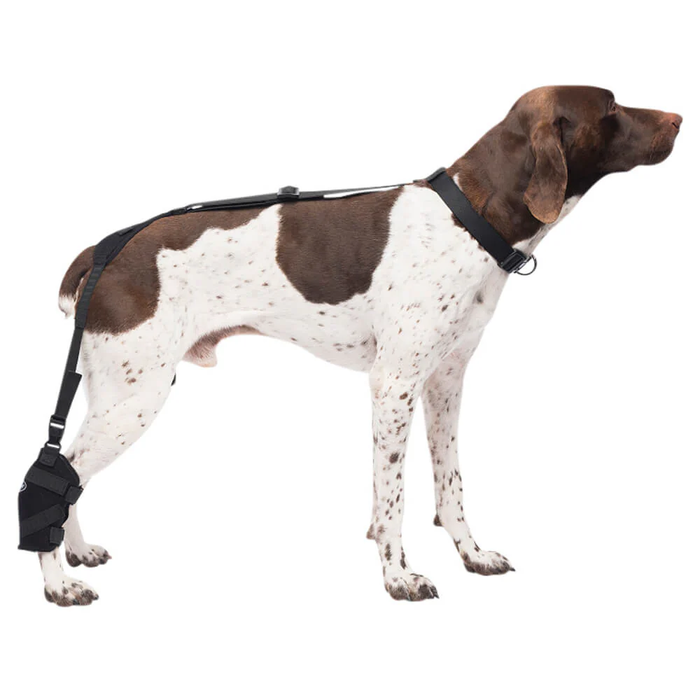 Caldera Pet Therapy Tarsal Wrap with Therapy Gel - Healthber