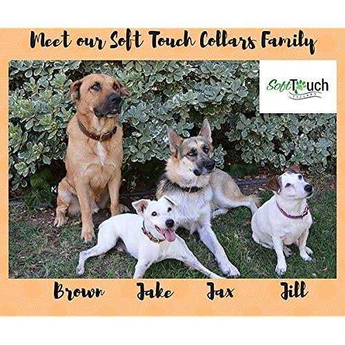 Soft Touch Collars Leather Dog Collar Padded - Healthber