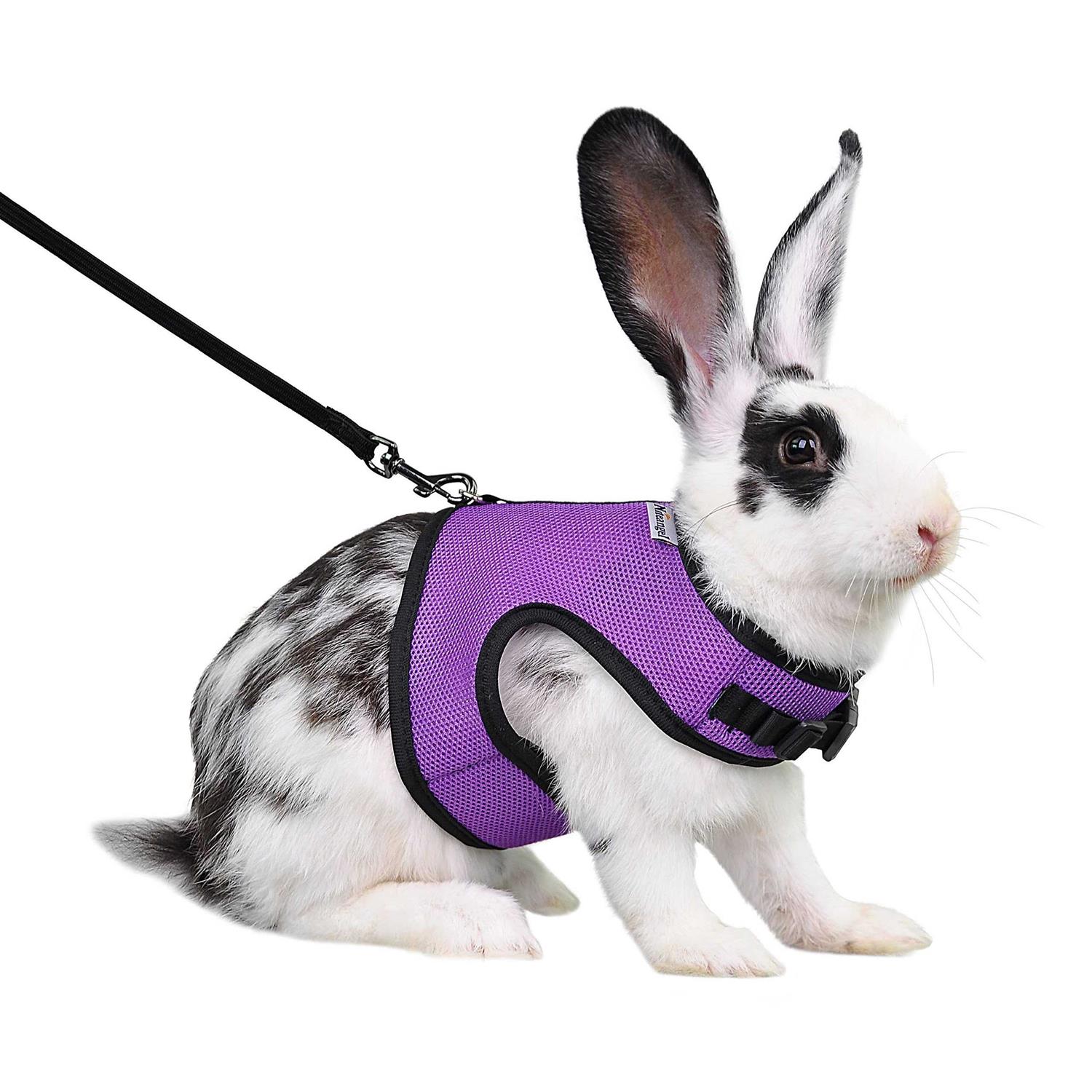 Niteangel Adjustable Soft Harness with Elastic Leash for Rabbits - Healthber
