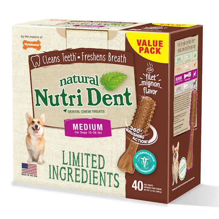 Nylabone Nutri Dent Dental Chews Filet Mignon - Healthber