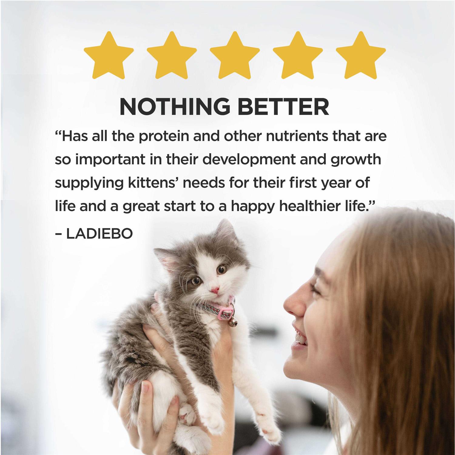 Purina Kitten Chow Nurture Dry Cat Food - Healthber