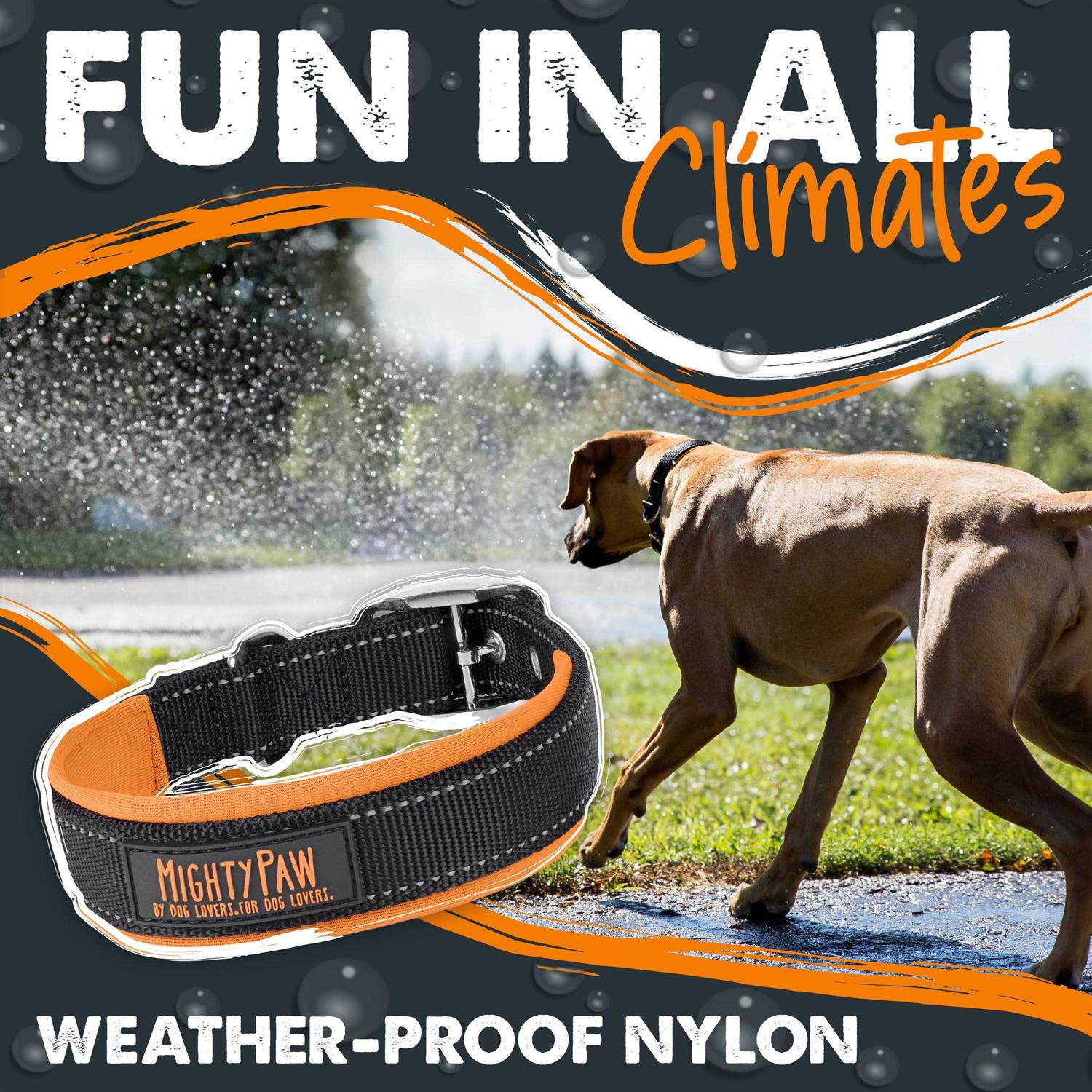 Mighty Paw Sport 2.0 Dog Collar - Healthber
