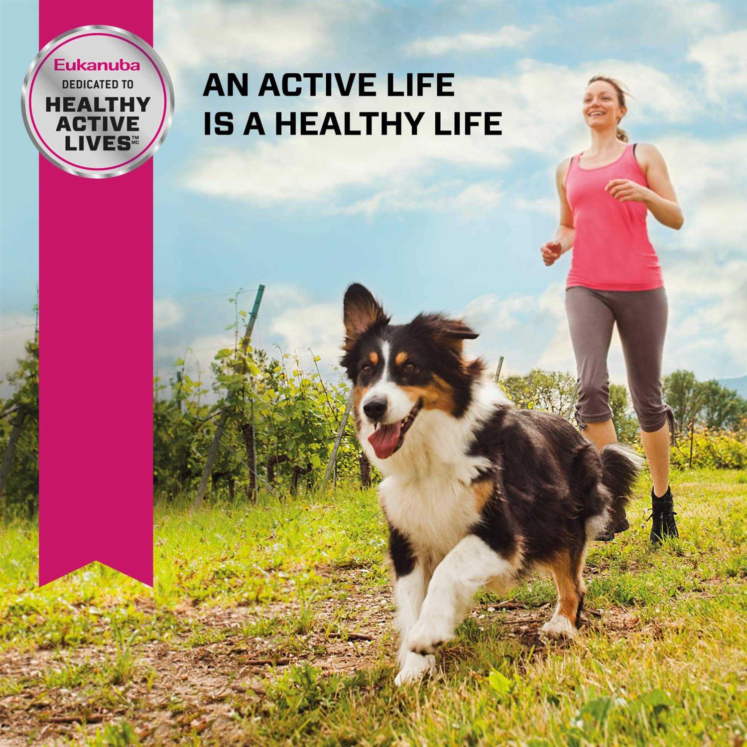 Eukanuba Breed Senior Dry Dog Food - Healthber