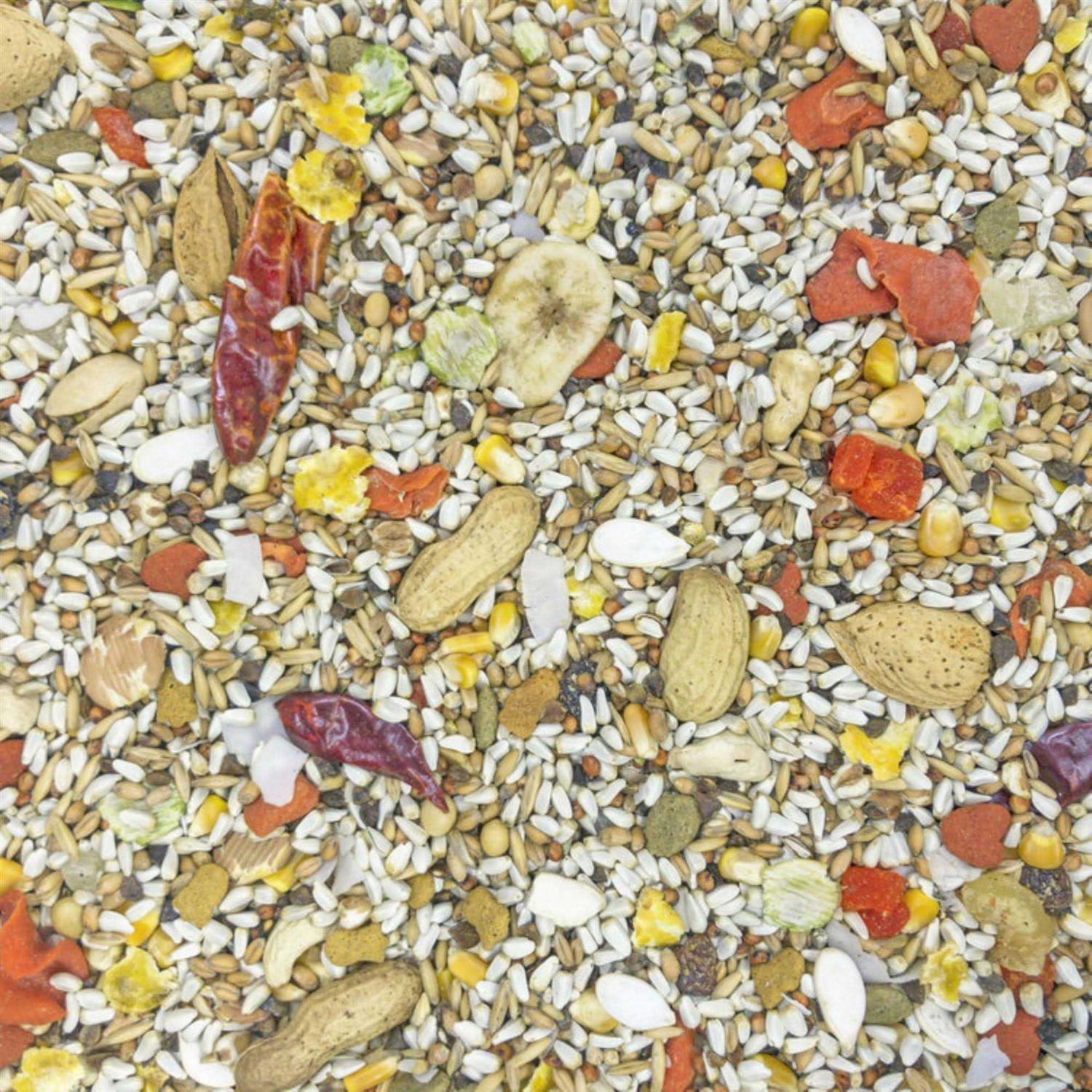 Higgins Safflower Gold Parrot Food - Healthber