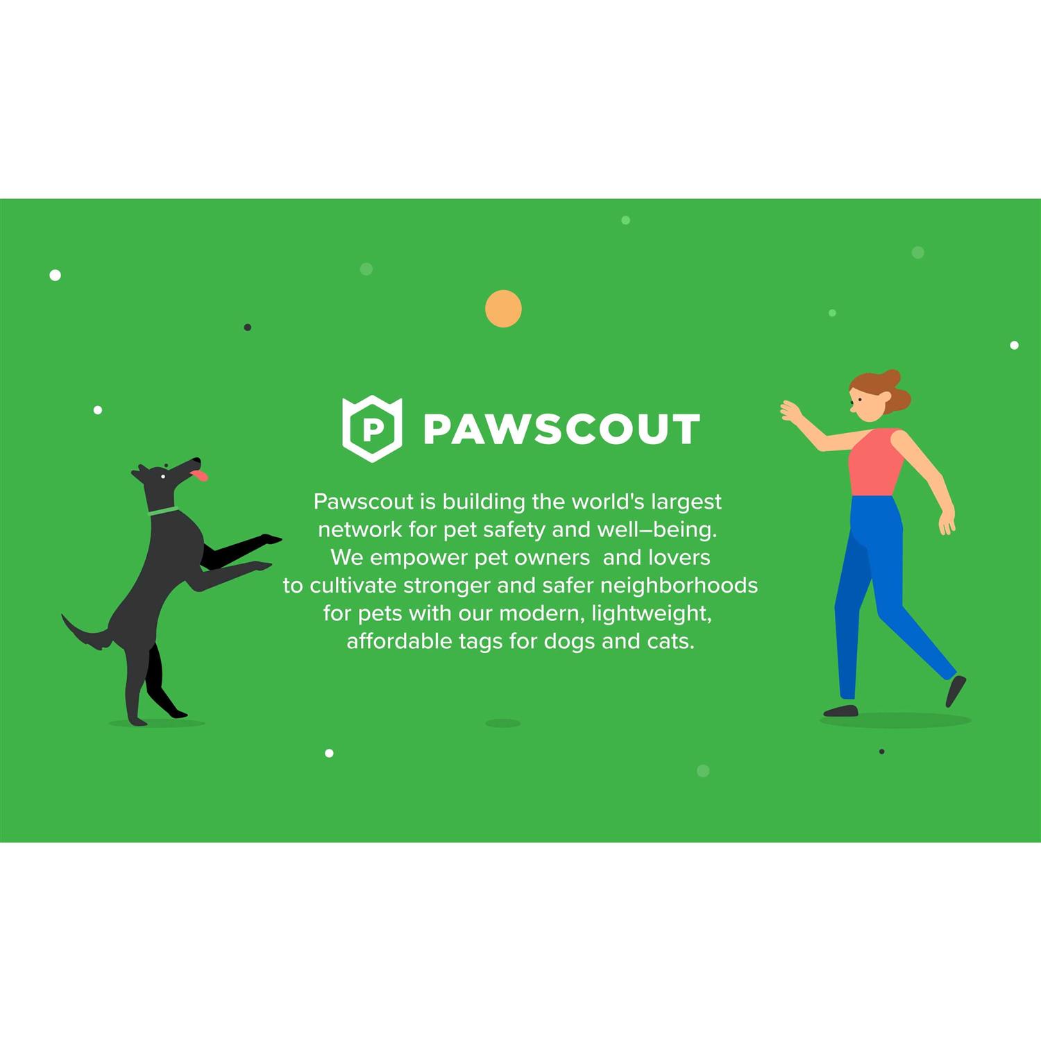Pawscout The Smart Pet Tag - Healthber