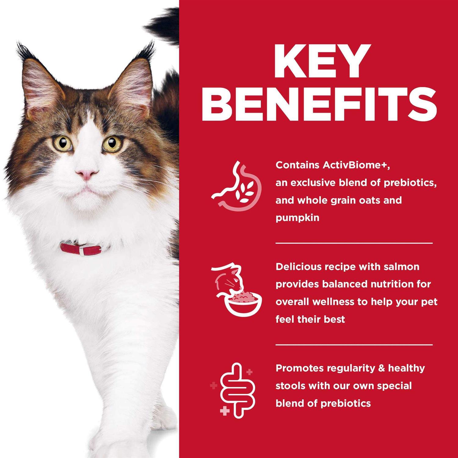 Hill’s Science Diet Adult Cat Dry Food Perfect Digestion Salmon - Healthber