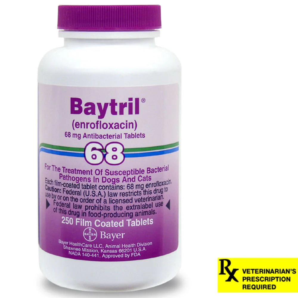 Rx Baytril for Dogs and Cats (Tablets) - Healthber