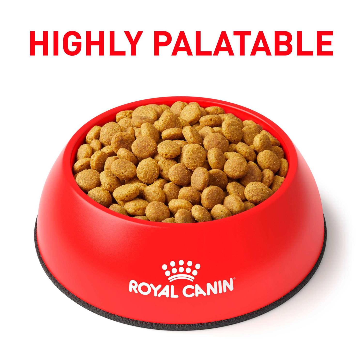 Royal Canin Veterinary Diet Cat Food - Healthber