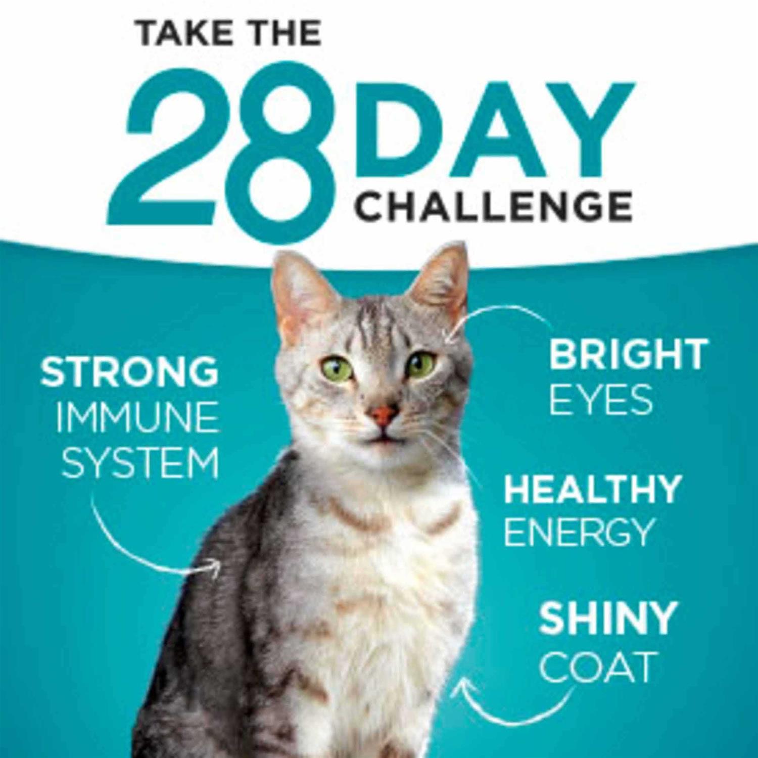 Purina One Indoor Advantage Natural Cat Food Ocean Whitefish & Rice - Healthber