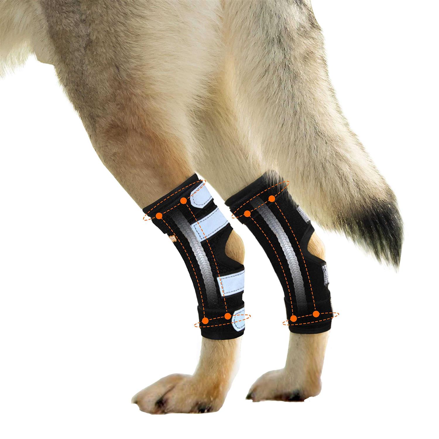 NeoAlly Dog Rear Leg Hock Metal Spring Strips - Healthber