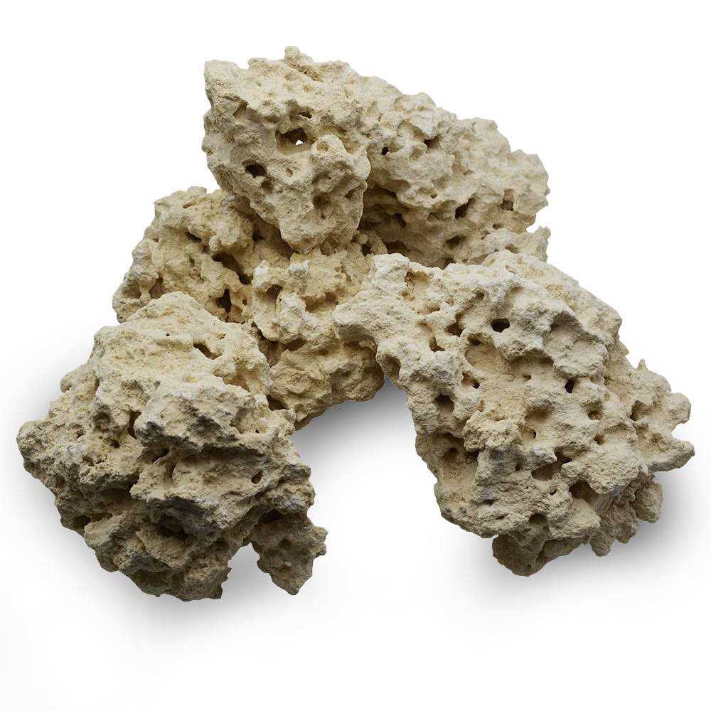 Caribsea South Sea Base Rock for Aquariums - Healthber