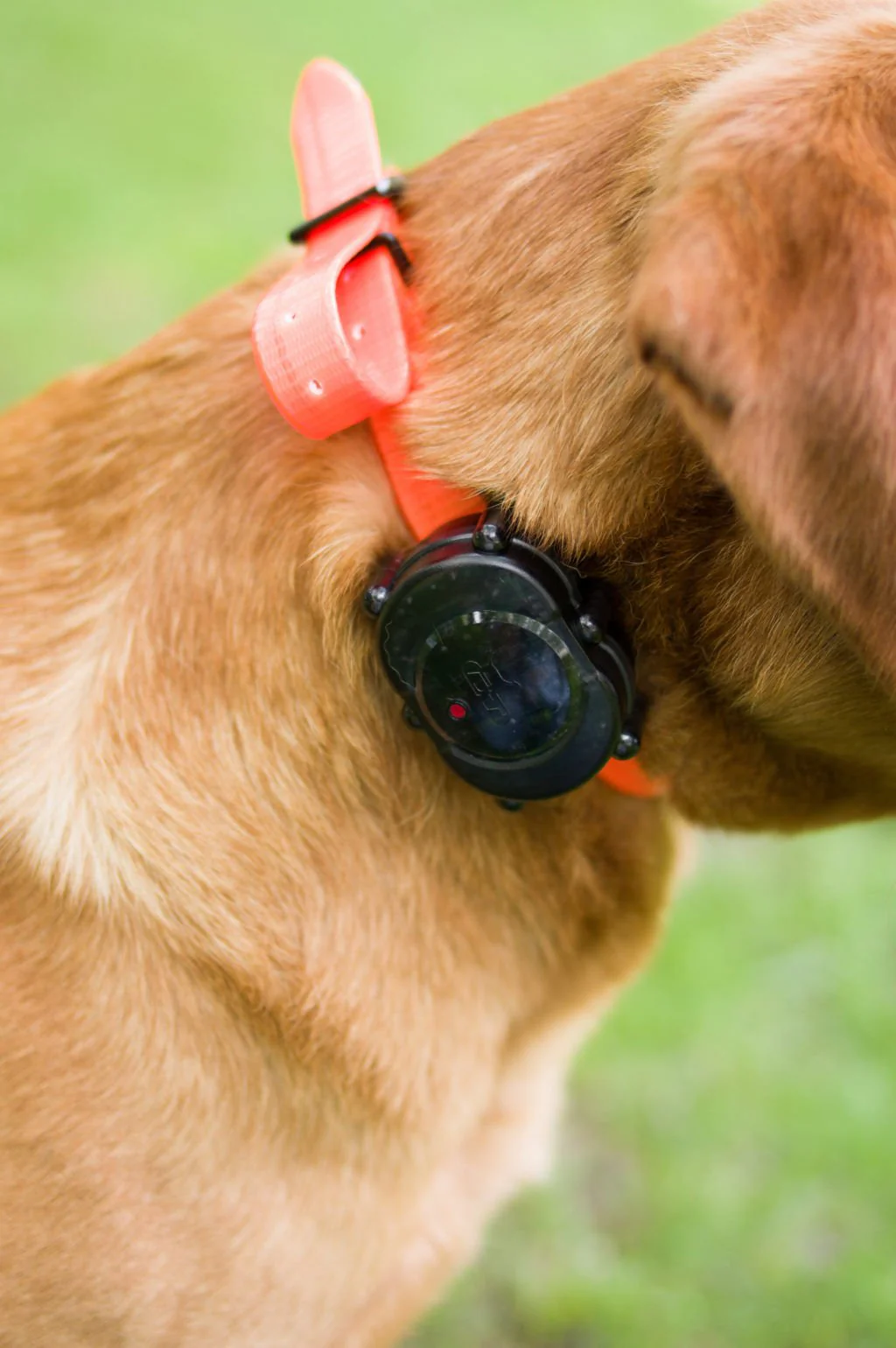 Mircro-iDT Plus Add-On Collar - Healthber