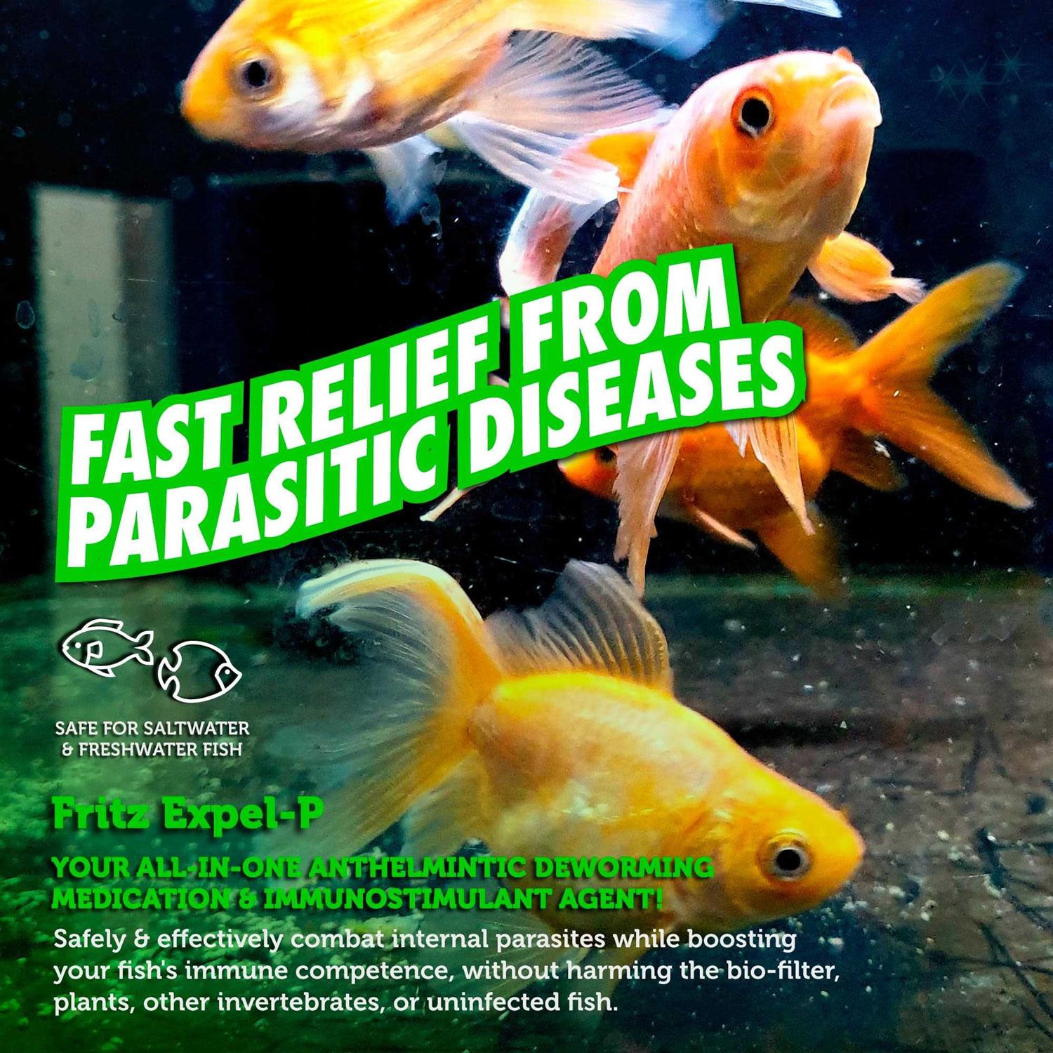 Fritz Aquatics Expel P Parasitic Disease Treatment - Healthber