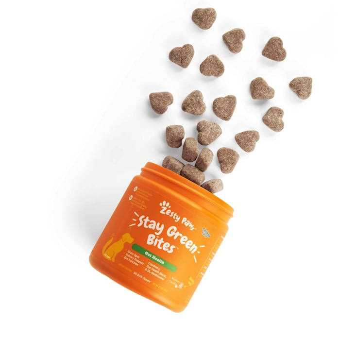 Zesty Paws Stay Green Bites for Dogs - Healthber
