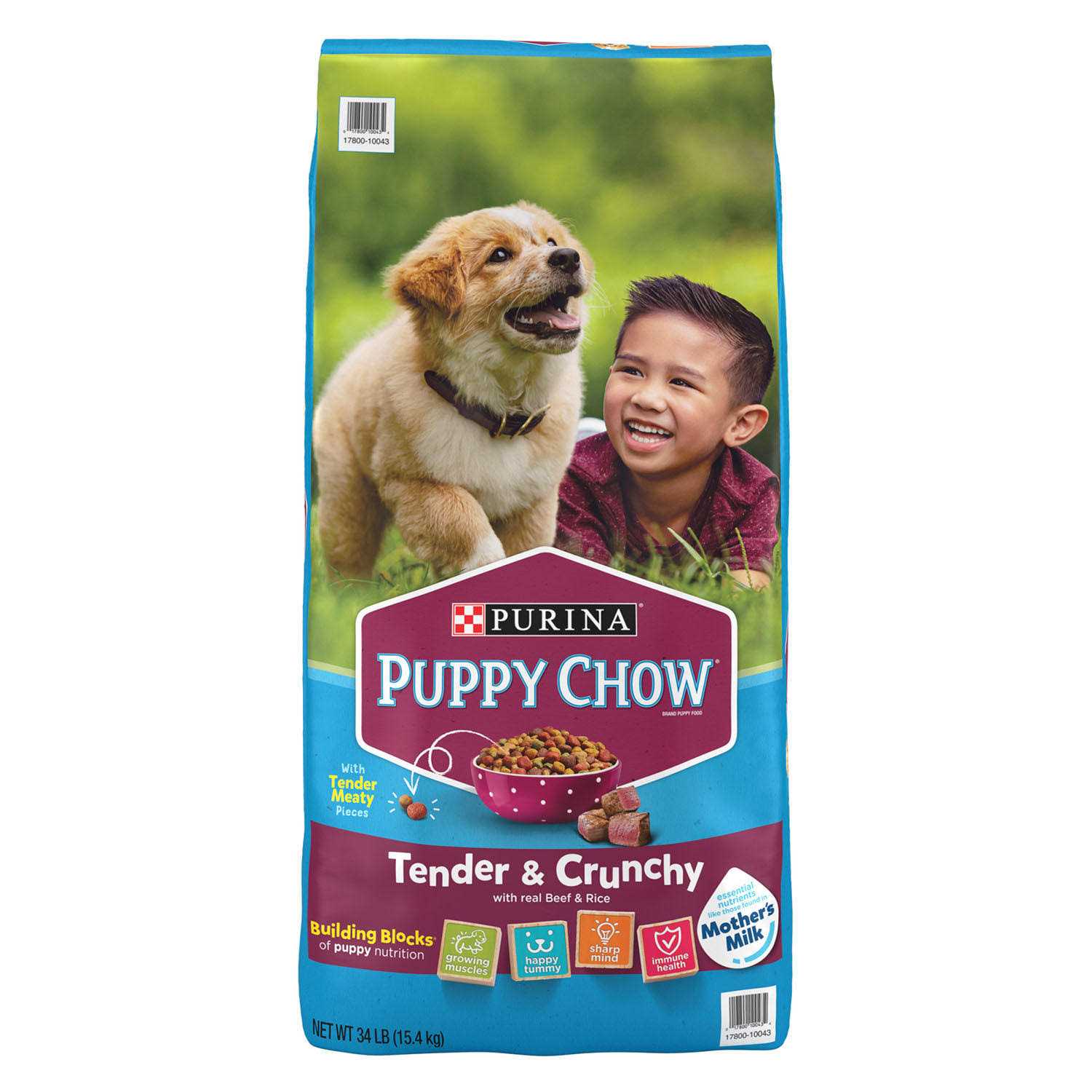 Purina Puppy Chow Tender Crunchy Real Beef Dry Puppy Food - Healthber