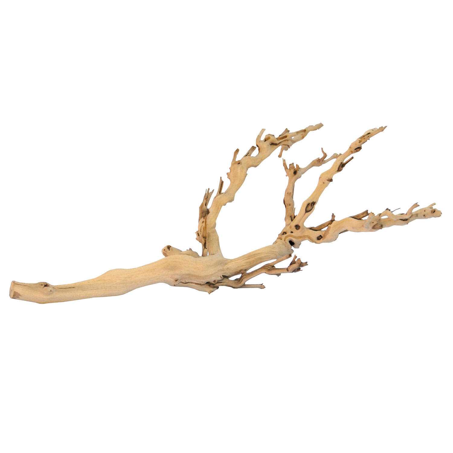 Exo Terra Forest Branch - Healthber