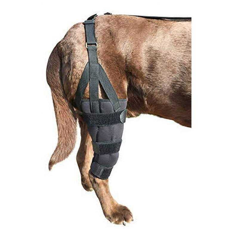 Labra Dog Canine K9 Knee Stifle Brace Wrap Metal Hinged Flexible Support Treat ACL CCL Luxating Patella Cruciate Ligament Sprain Strain Tear Injuries - Healthber