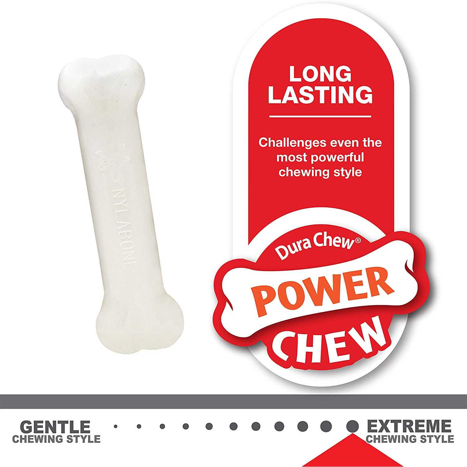 Nylabone Puppy Starter Kit - Healthber