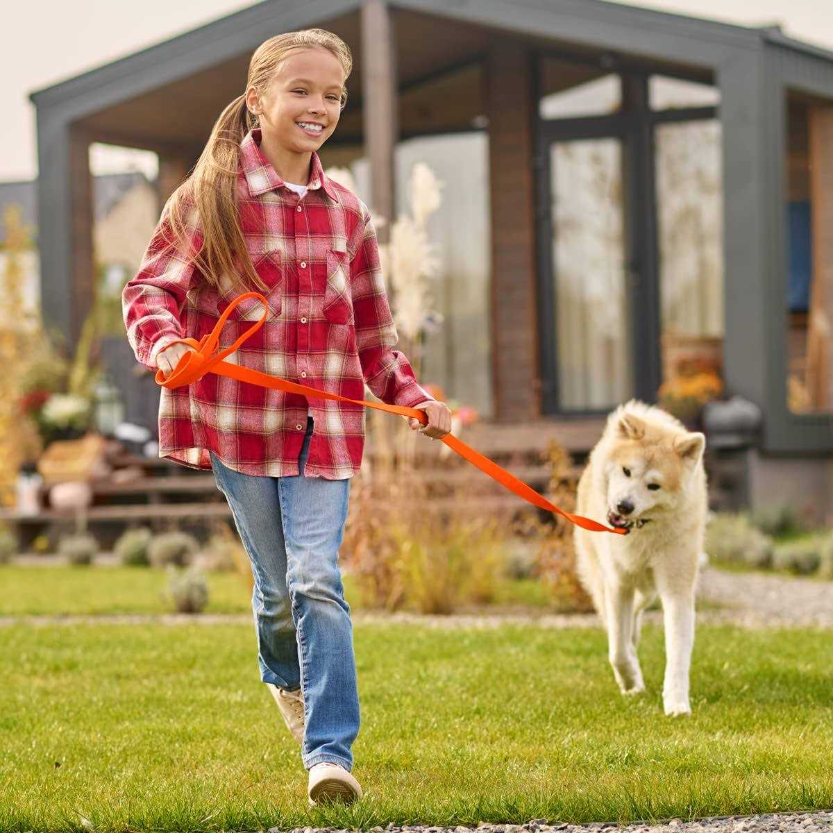 Viper Biothane K9 Working Dog Leash Waterproof Lead for Tracking Train - Healthber