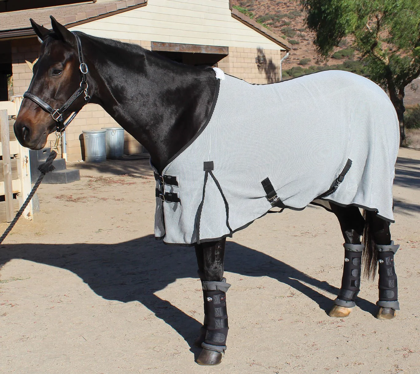 Professional's Choice Theramic Therapy Horse Sheet - Healthber