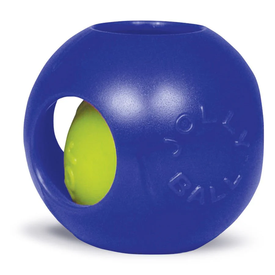 Teaser Ball - Healthber