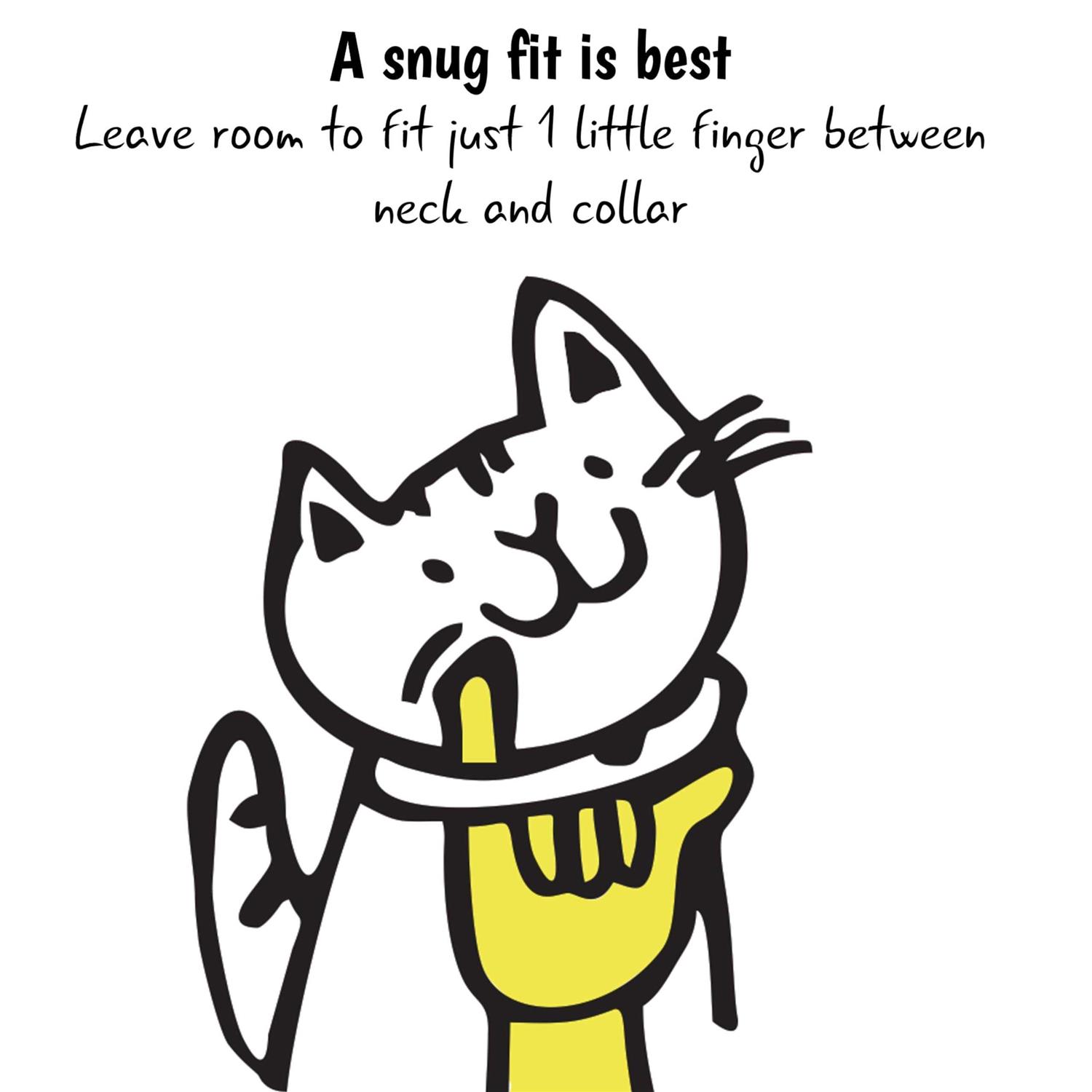 Kittyrama Breakaway Bell Cat Collar - Healthber