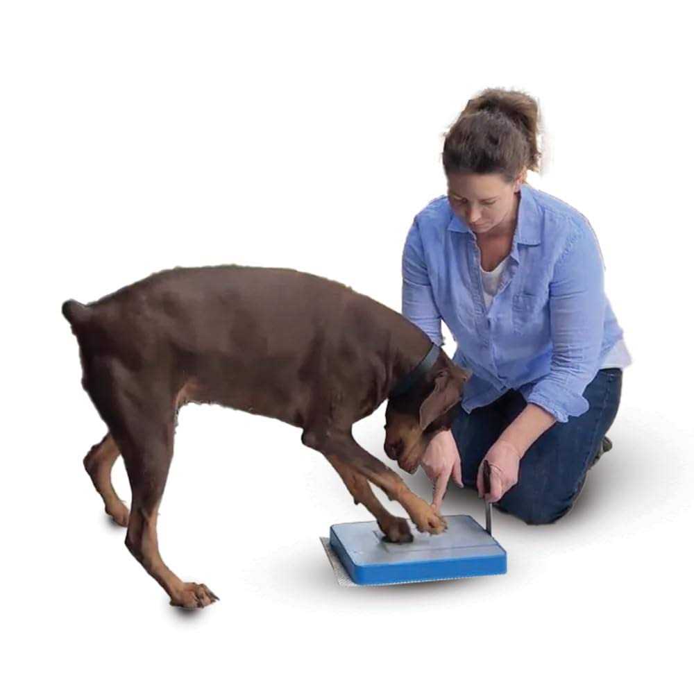Digger Dog Nail File Board Stress Free Alternative to Dog Nail Clippers and Dog Nail Grinders - Healthber