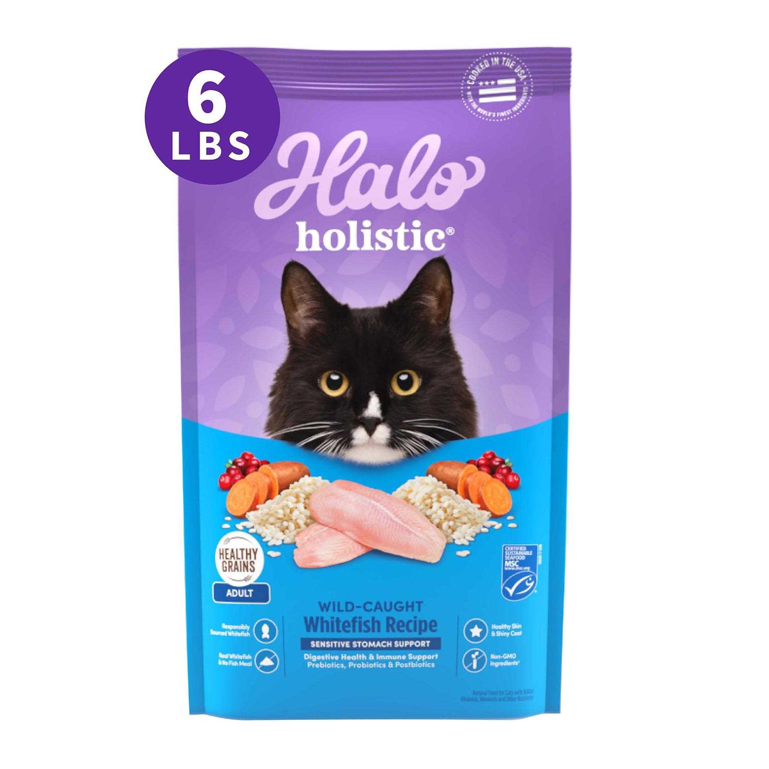 Halo Holistic Seafood Medley Sensitive Stomach Dry Cat Food - Healthber