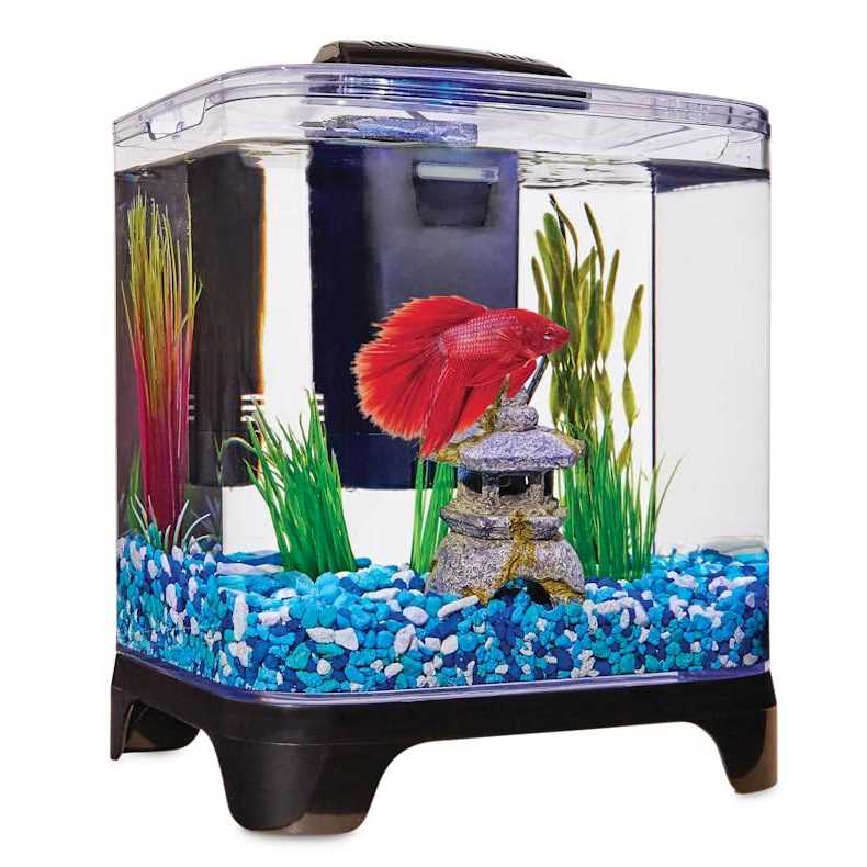 Imagitarium Betta Desktop Kit - Healthber