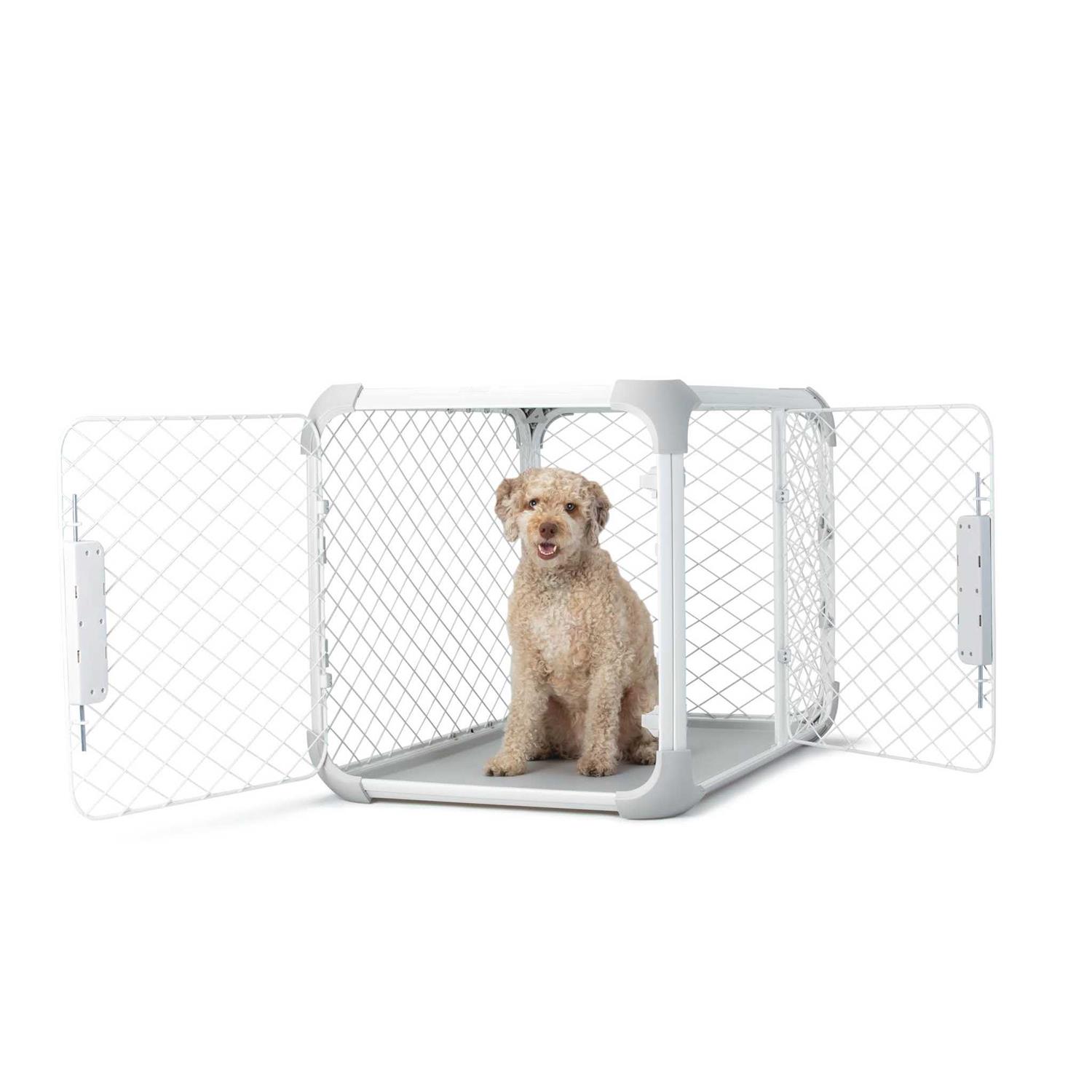 Diggs Evolv Dog Crate - Healthber