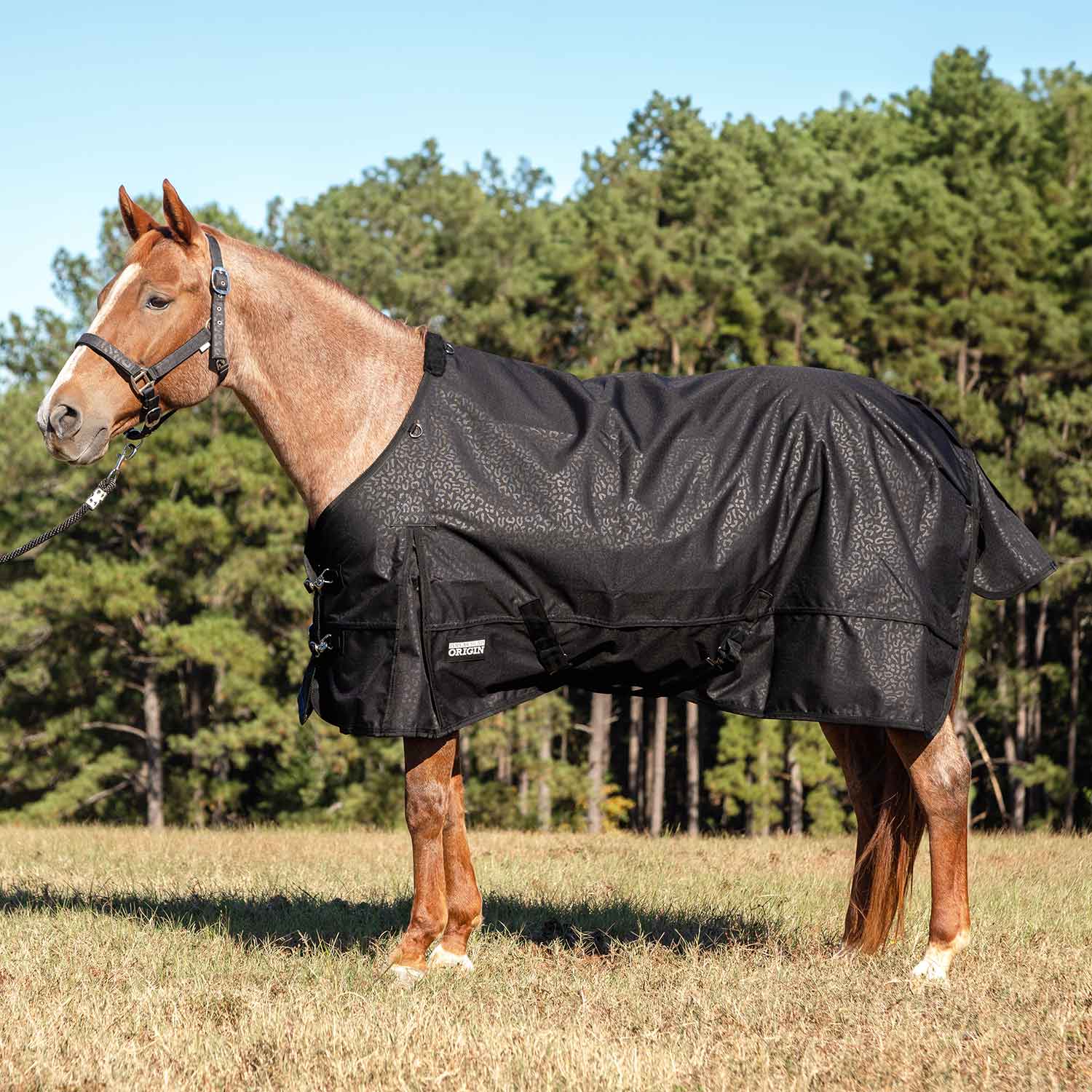 Poplar Head Origin 600 Denier Turnout Blanket, 240 Gram, Covert Cheetah - Healthber