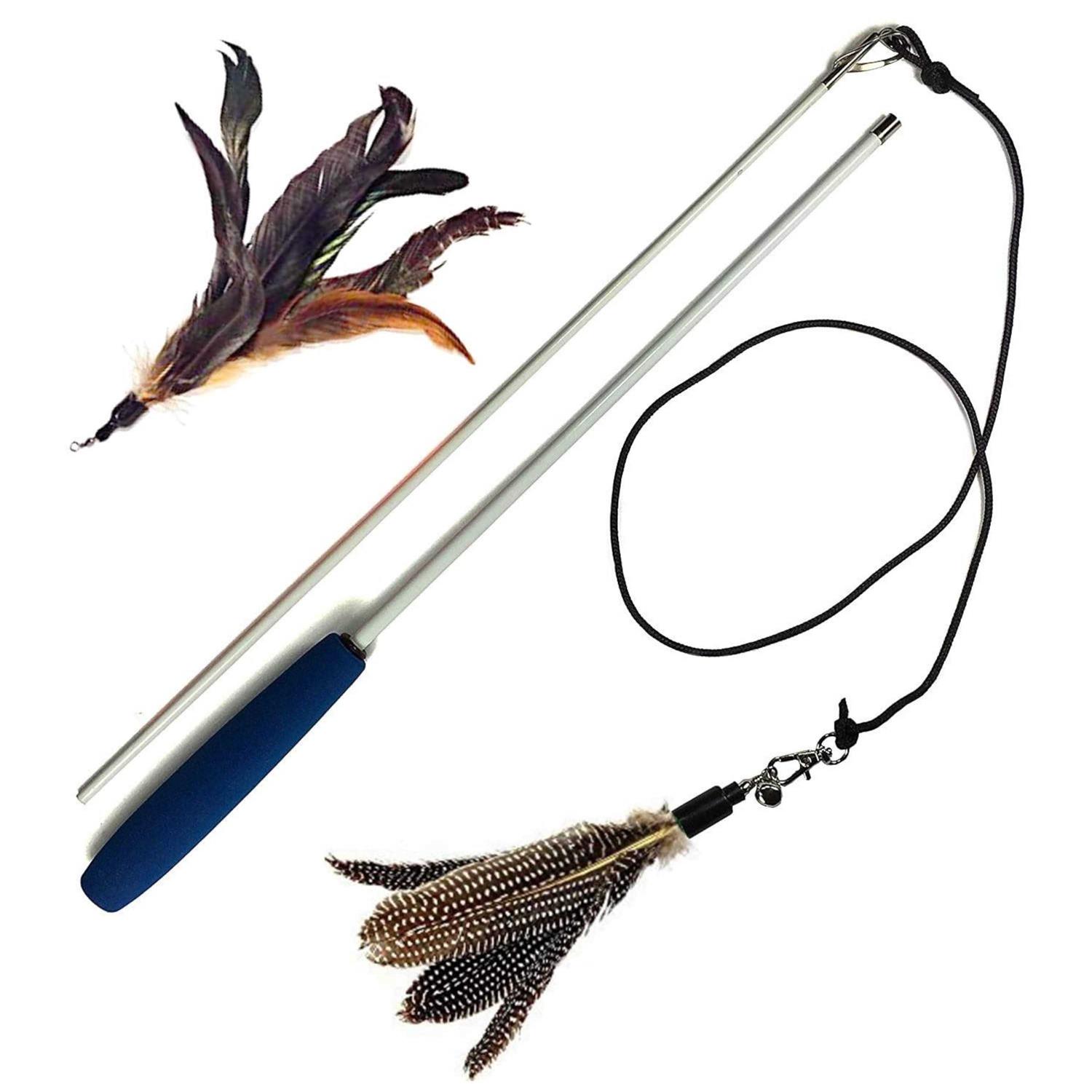 pet fit for life 2 Guinea feather Wand Cat Toy - Healthber