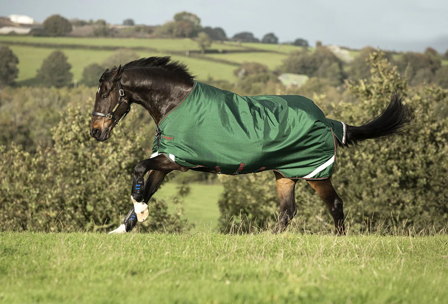 Rambo Original with Leg Arches, 100 Gram, Green/Red - Healthber