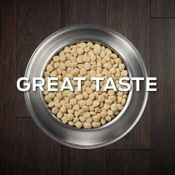 Purina Veterinary Diets HA Hydrolyzed Canine - Healthber