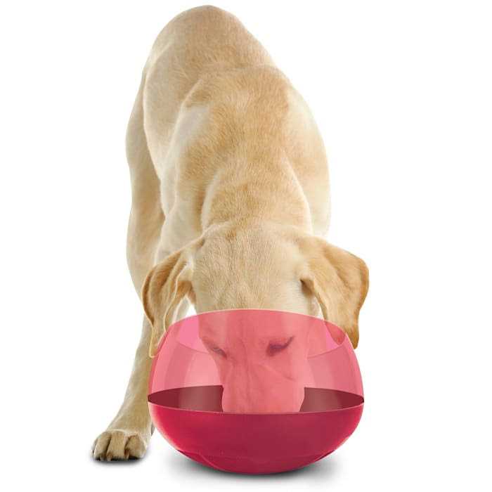 BLACK+DECKER Burgundy Rocking Interactive Slow Feeder Dog Bowl - Healthber