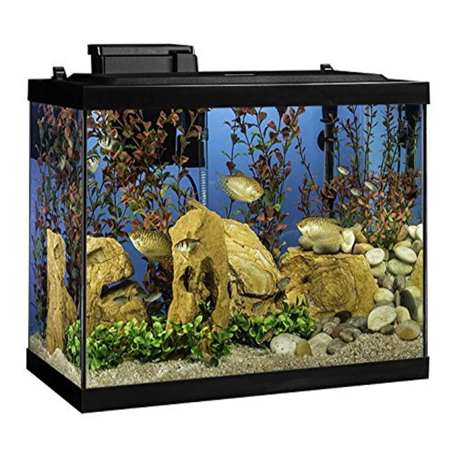 Tetra NV33821 Aquarium 20 Gallon Fish Tank Kit - Healthber