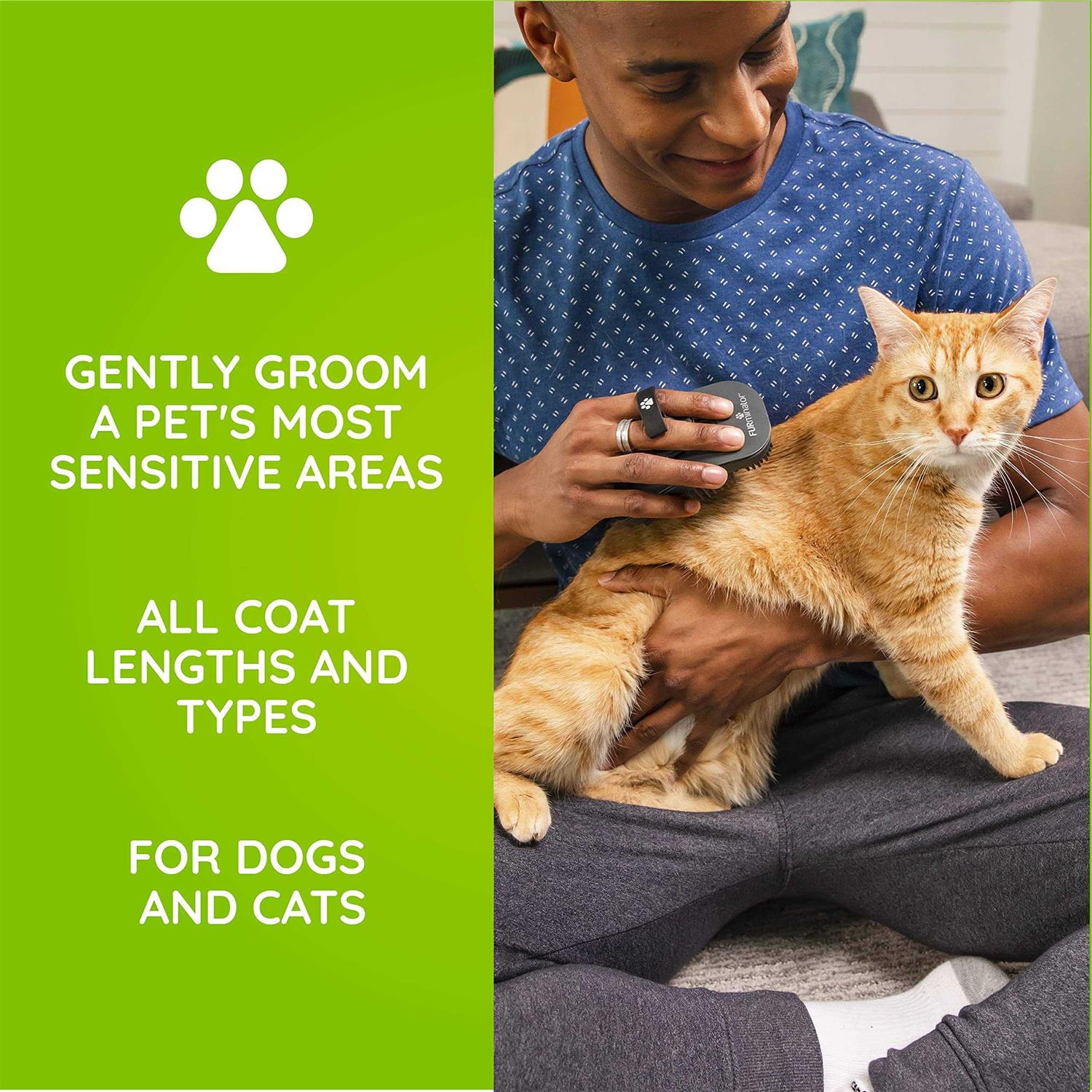 FURminator Sensitive Areas Tool, Grooming Tool for Dogs and Cats - Healthber