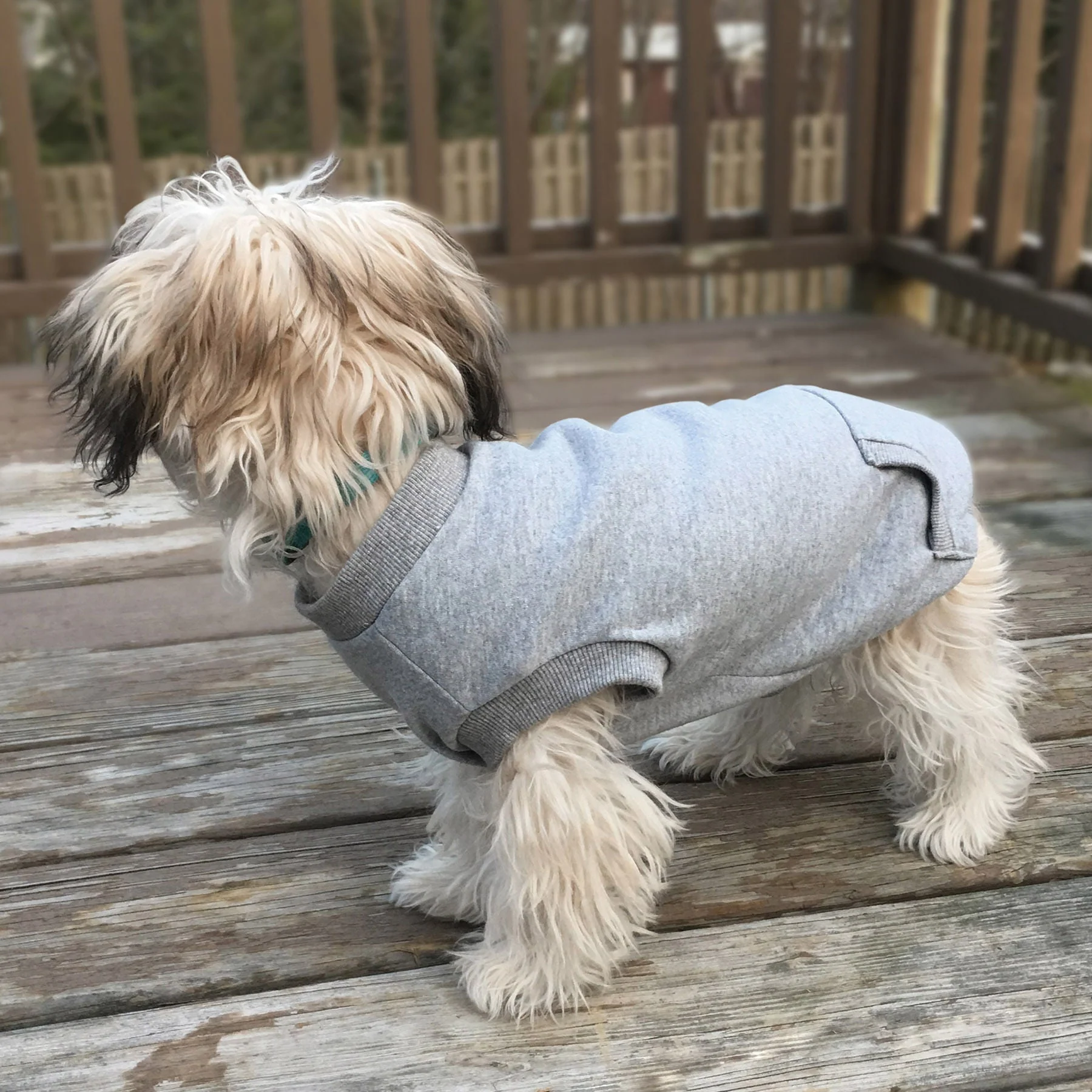 Activewear Sweatshirt - Healthber