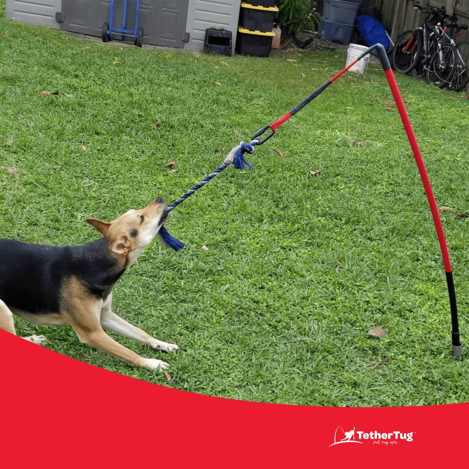 Tether Tug Dog Toy - Healthber