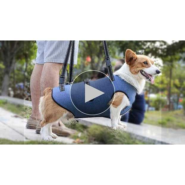 Coodeo Dog Lift Harness Support & Recovery Sling Pet Rehabilitation Lifts Vest Adjustable Breathable Straps for Old - Healthber