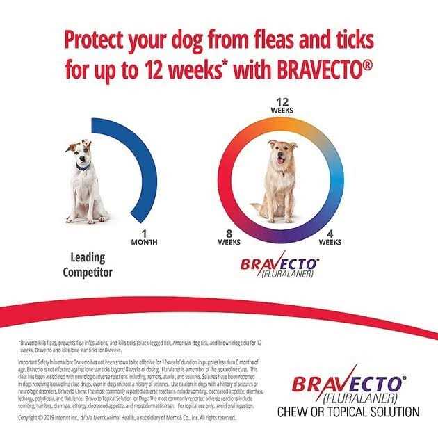 4.4-9.9 lbs Bravecto Chews for Dogs - Healthber