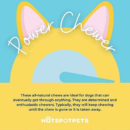 Hotspot Pets All Natural Whole Deer Antler Dog Chew Treats - Healthber