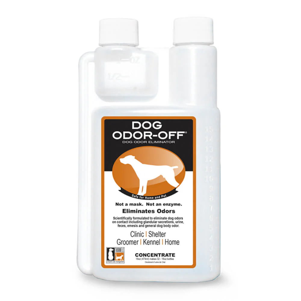 Dog Odor-Off Carpet Concentrate, 16 oz - Healthber