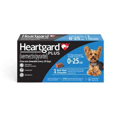 Heartgard Plus Chewables 1pk 01-25lbs for Dogs - Healthber