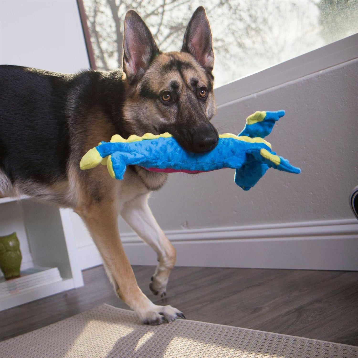 goDog Dragons Skinny Chew Guard Dog Toy - Healthber