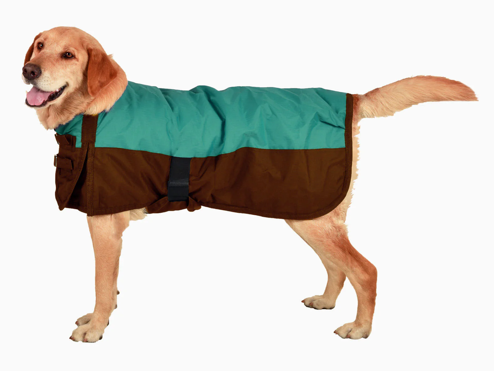 Premium Winter Dog Coat - Healthber