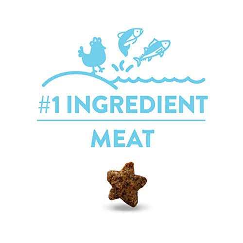 Shameless Pets Crunchy Cat Treats - Healthber