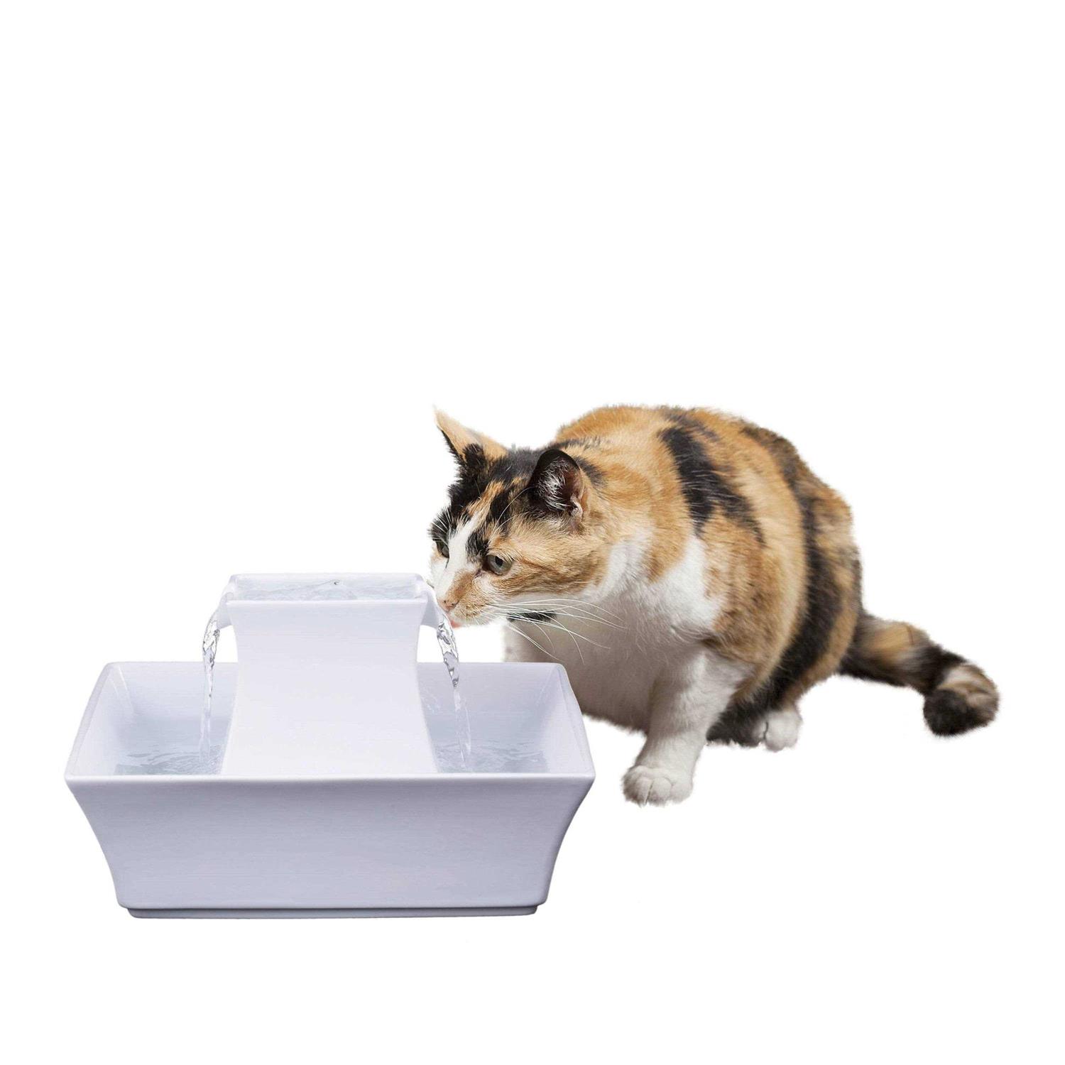 PetSafe Drinkwell Pagoda Fountain - Healthber