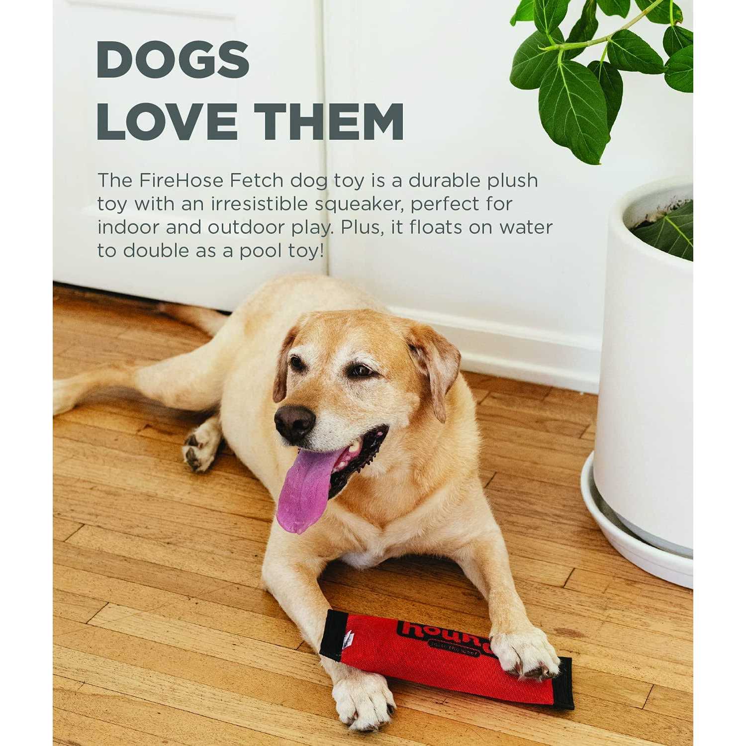 Outward Hound Fetch Dog Toy - Healthber